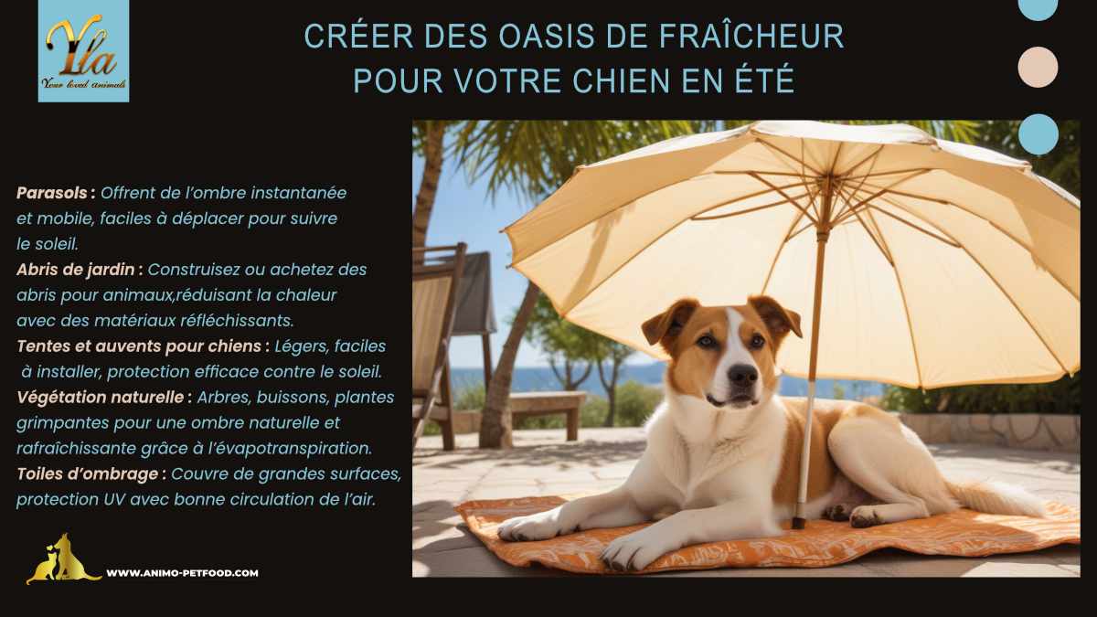 Création de zones ombragées et fraîches en été pour votre chien - Utilisation de parasols, abris de jardin, tentes, végétation naturelle et toiles d'ombrage pour protéger votre chien de la chaleur